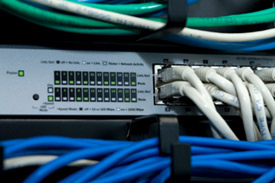 Network Cat Cables - Cat Cabling - Networking Infrastructure